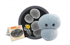 
    GIANTmicrobes