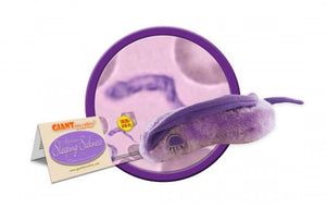 Sleeping Sickness (Trypanosoma Brucei) - GIANTmicrobes® Plush Toy