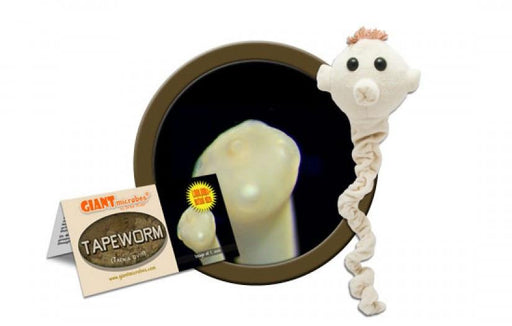 Tapeworm (Taenia Ovis) - GIANTmicrobes® Plush Toy  - LabRatGifts - 1