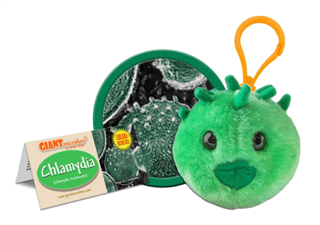 Chlamydia (Chlamydia trachomatis) - GIANTmicrobes® Keychain  - LabRatGifts