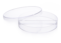 
    Two Compartments